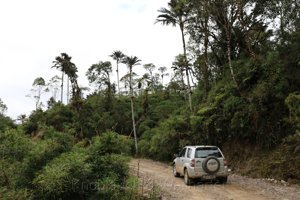 Parque Nacional Cutervo – der älteste Nationalpark Perus