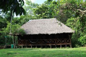 Centro de Rehabilitación y Conservación de Animales de Silvestres, Amazonas, Peru