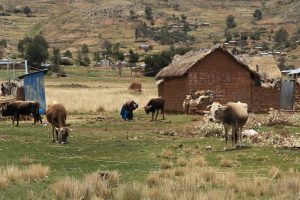 Puno, Titicacasee, Peru