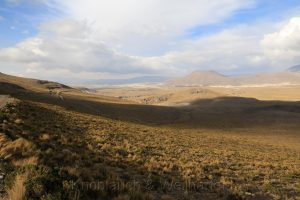 Naturreservat Salinas und Aguada Blanca, Anden, Peru